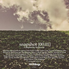 Kastis Torrau featuring Amber Long - Menace {Several Definitions Vocal Remix} Stripped Recordings