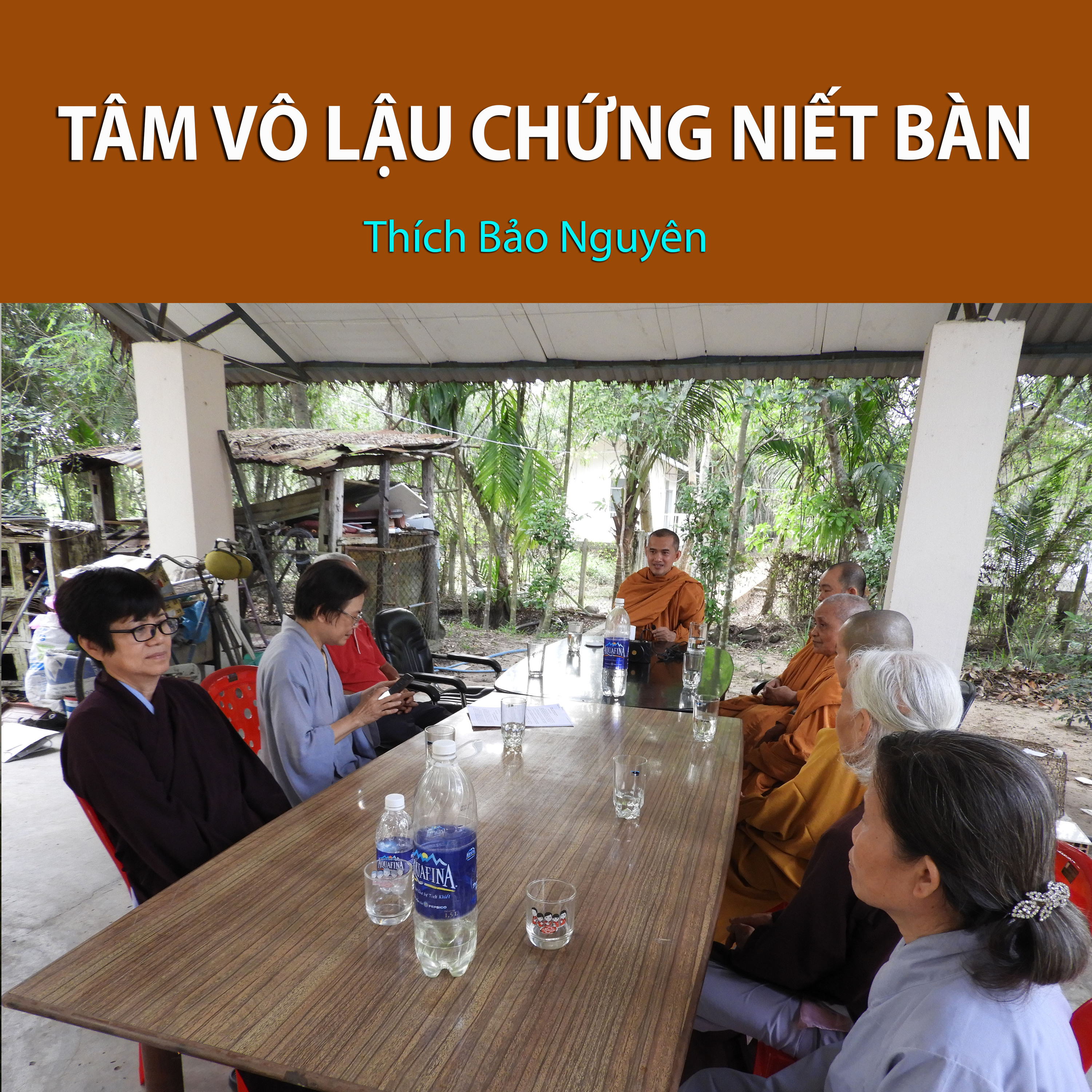 Tâm Vô Lậu Chứng Niết Bàn 1 episode artwork