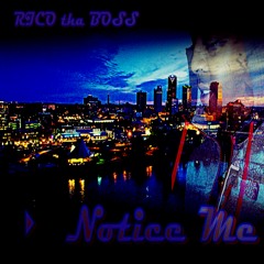 Notice Me