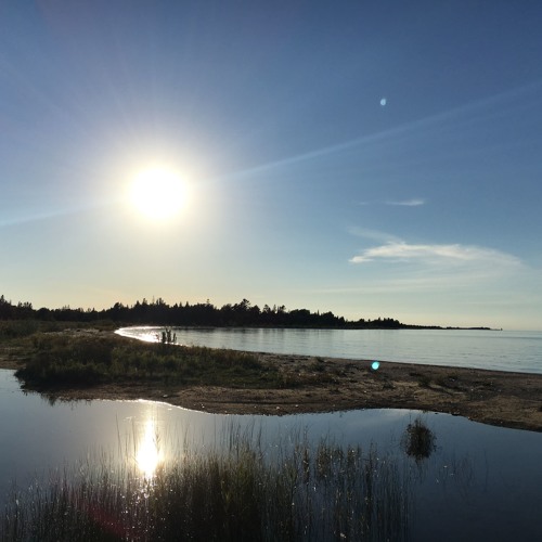 From Gaggle to Skein of Geese, Wilderness State Park