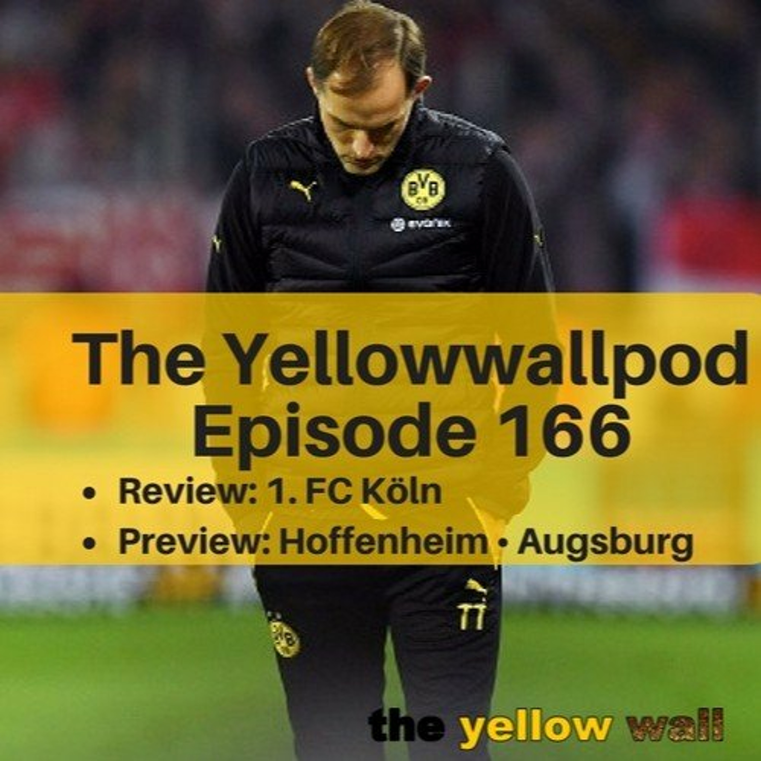 Yellowwallpod