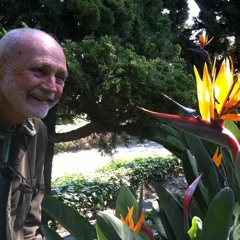 Craving, What’s it All About? - Culadasa