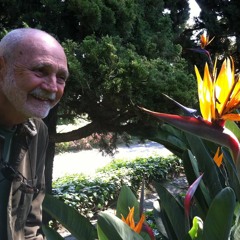 Physical Suffering vs Mental Suffering - Culadasa