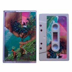 fᴸᴼᴿᴵᴰᴼᴹᴵ - New Kings (TT002) preview