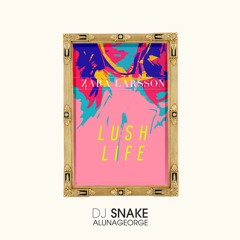 DJ Snake x Zara Larsson - You Know You Like It / Lush Life Mashup