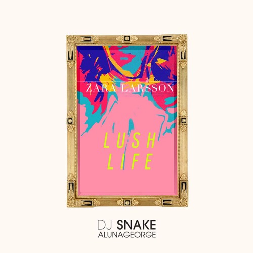 DJ Snake x Zara Larsson - You Know You Like It / Lush Life Mashup