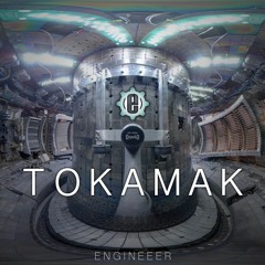 Engineeer - Tokamak