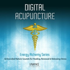 Digital Acupuncture - Demo