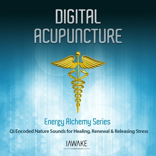 Digital Acupuncture - Demo