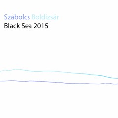 03 Dolphin And Ships