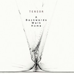 Tensor- Follow The Blinking Sun (Album: A Backwards Walk Home)