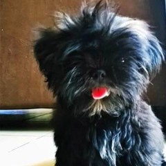 Dating Tayo by Tj Monterde (Cover)