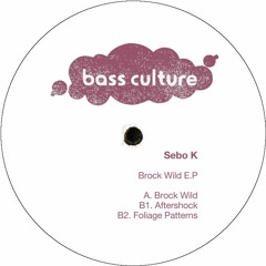 03 Sebo K Foliage Patterns Brock Wild EP BCR053 preview
