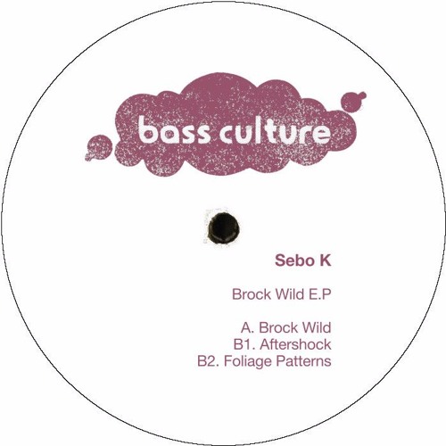 03 Sebo K Foliage Patterns Brock Wild EP BCR053 preview