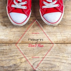 Pelegrini feat. DUO'z - Don't Run (Original Mix) SOUNDCLOUD PREVIEW