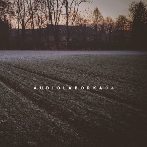 Audiolaborka 04 - Tolouse Low Trax & Wolf Müller