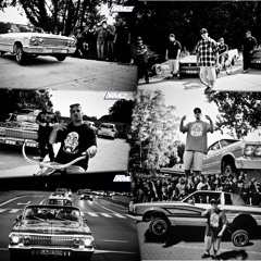 MAIO Feat SEHRER - CHECK THE PLAQUE IN THE BACK (ROLLERZ ONLY)