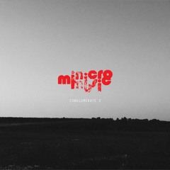 VA – Conglomerate 2 (minicromusic017)
