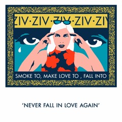 Never Fall In Love Again