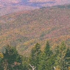 Playing It Safe DEM0OoO0