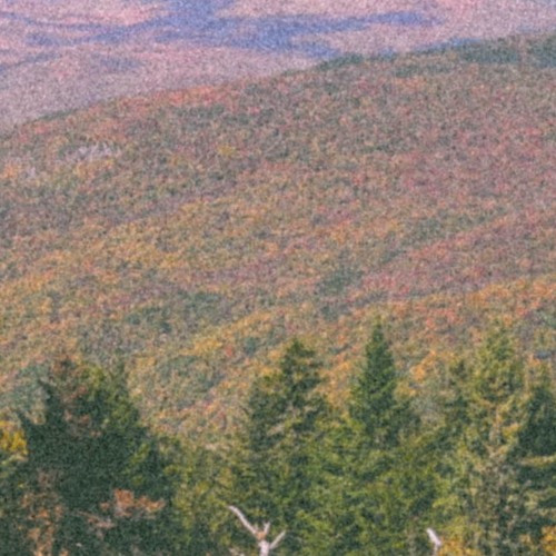 Playing It Safe DEM0OoO0