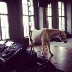 Horse Meets Techno #1