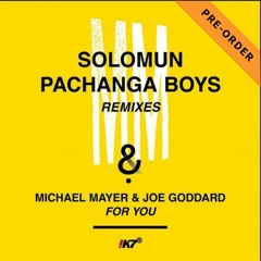 For You - Michael Mayer & Joe Goddard(Solomun Night Version)