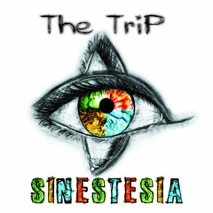 The Trip / Pensieri Notturni