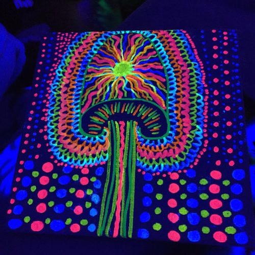 Magic Mushrooms
