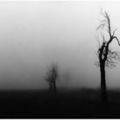 Untidiness Horror