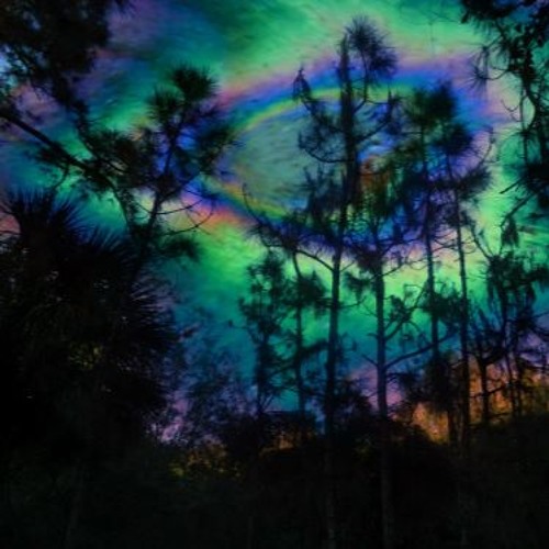 Amorphoid - Developers