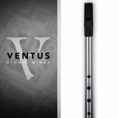 Ventus Tin Whistle: "Leaves in the Creek" by Kurt M. Landre