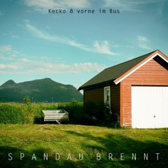 Zirkus feat. Strobo Bob