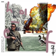 Stadtparkranger&Straßennirvarna