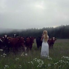 ✧ﾟ･: *ヽ(◕ヮ◕ヽ)