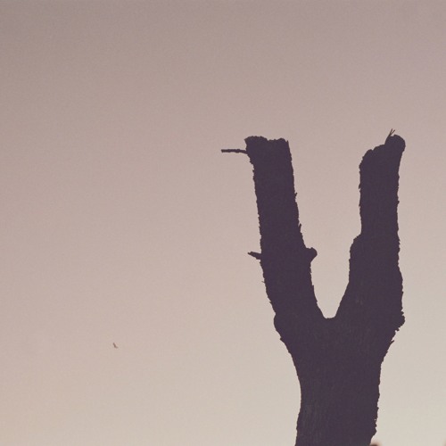 Mixing / Mastering Portfolio