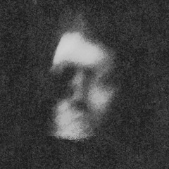 The Flowers Were Unreal