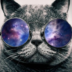 Everything EDM