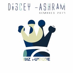Discey - Ashram (Vando's Day At The Beach Edit)