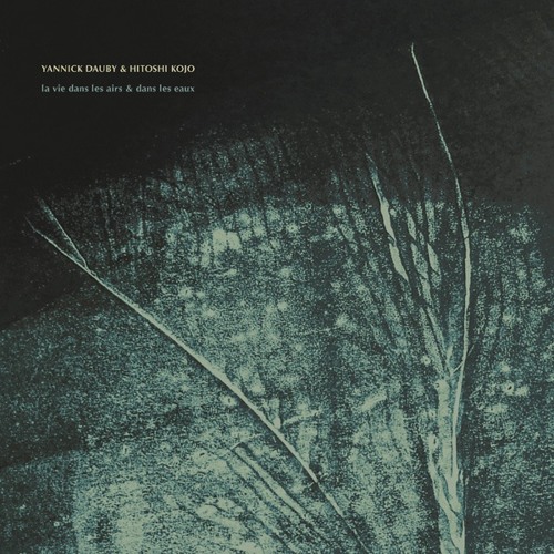 Yannick Dauby & Hitoshi Kojo - La Vie dans les Airs & dans les Eaux (excerpts)