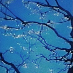 F l u i d s - feat.mago