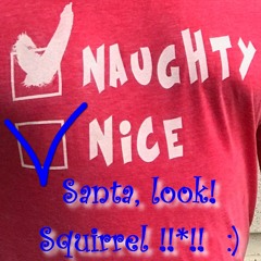 Naughty & Nice ~ Silent Zen ~ Group Spotlight ~ Vol. 4 ~ Dec. 2016