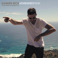 Damien Rice - I Don't Want To Change You (Monkeyneck Remix)