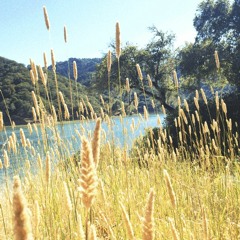 Make Me (Noah Cyrus) Cover