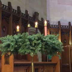 2016-12-11 Homily of Fr. Perrone - Advent Week 3 - Gaudete Sunday