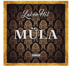 Laken HiL - MüLa