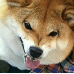 nice  m e m e