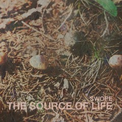 Swope - Crystal Hills