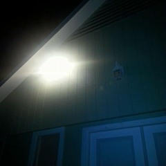 Flowers Feat.Trevor Pink