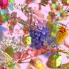 Flume My Boo Feat Vince Staples Kučka Ngaiire And Vera Blue Triple J Like A Version Mp3